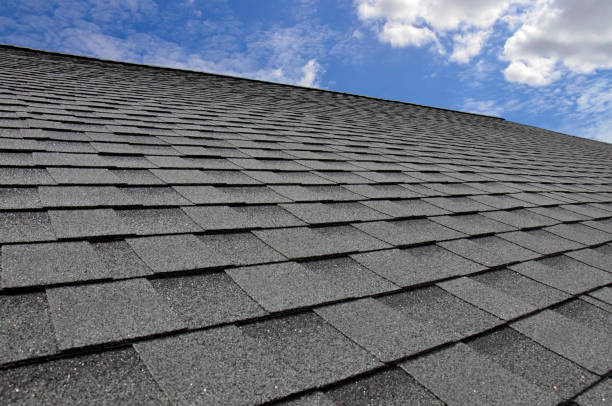 Best Wood Shake Roofing  in Fredonia, AZ